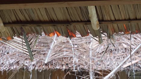 water running from thatched roof on traditional hut during bad weather storm with heavy rain on tropical island destination