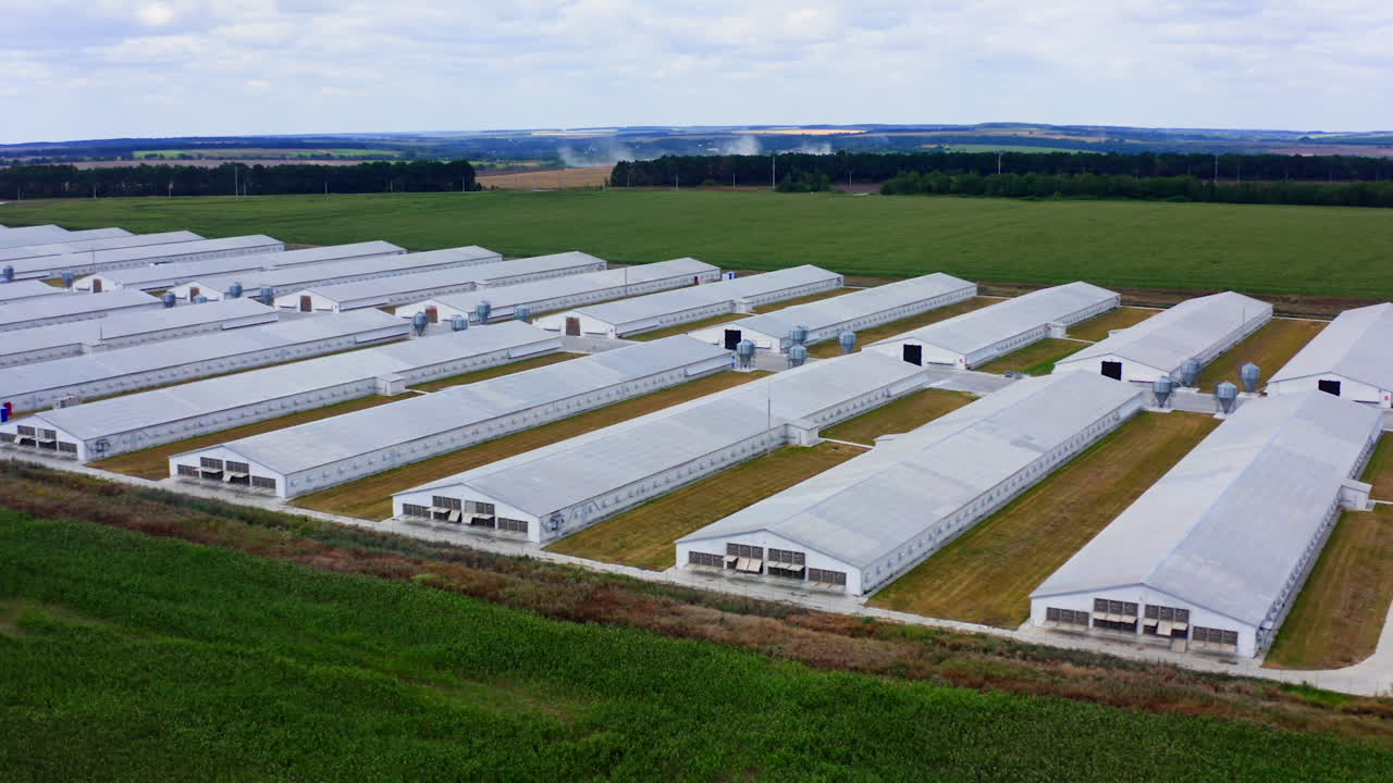 Modern warehouses on green nature background. Contemporary white farmhouses on field. Large agriculture with long buildings. Aerial view.