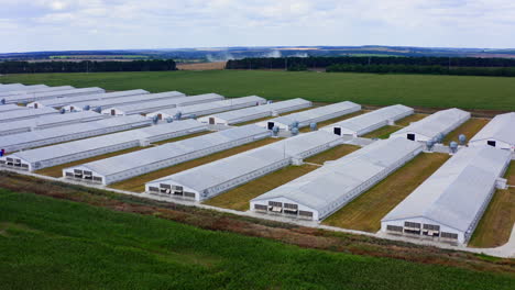 modern warehouses on green nature background. contemporary white farmhouses on field. large agriculture with long buildings. aerial view.
