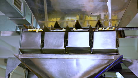 metal automated equipment at food factory. modern process of snack production. yellow corn sticks in factory machine.