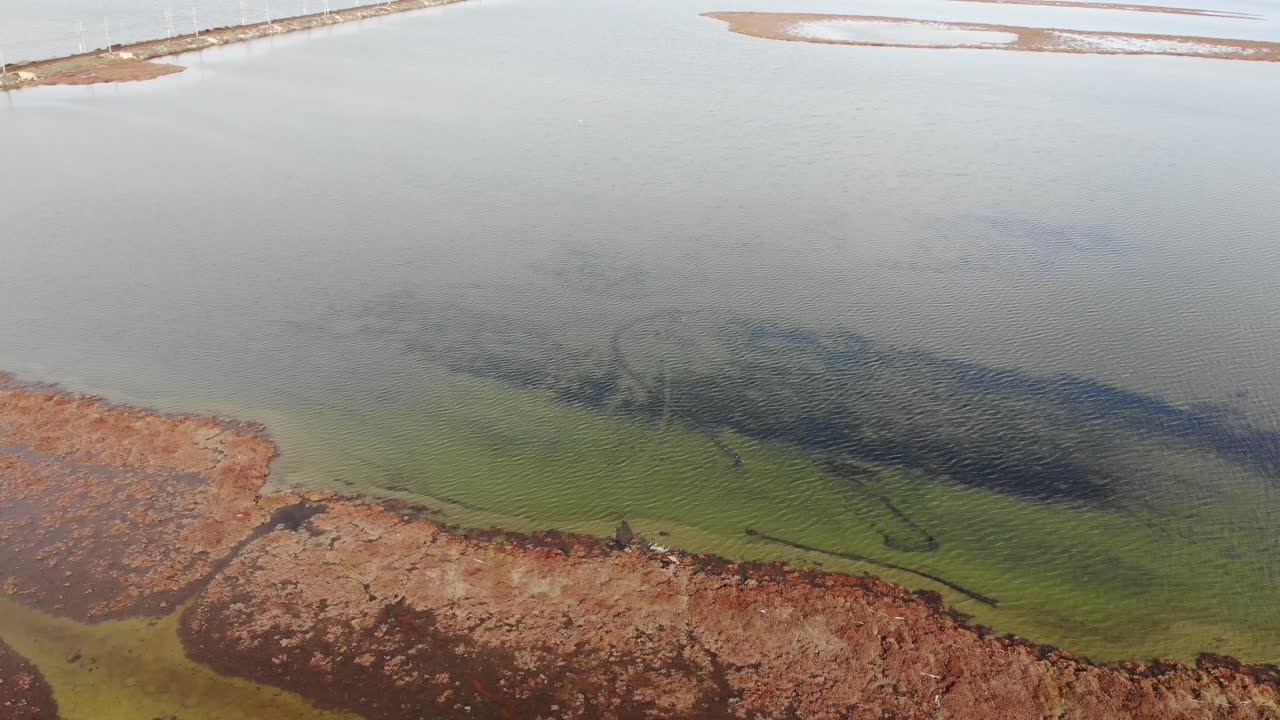 antena: pantano en el sur de francia en invierno