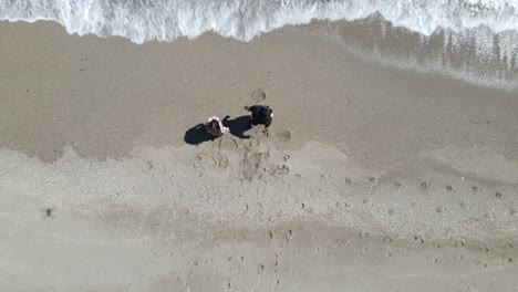 Lovers-Couple-in-Beach-Overhead-View