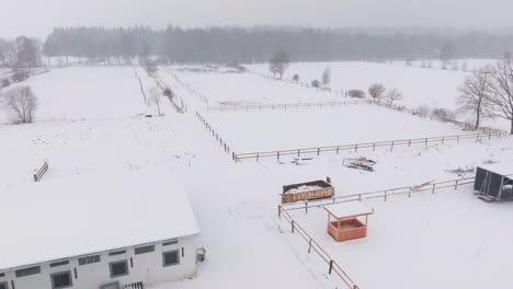 Vista-Aérea-De-Una-Granja-Nevada-Con-Caballos-En-El-Norte-De-Alemania.