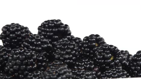 blackberries close-up