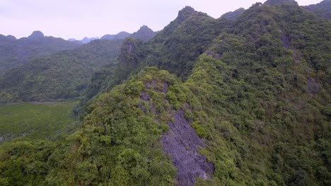 Limestone-mountains-on-the-island-of-Cat-Ba-Vietnam-with-Karst-landscape,-Aerial-tilt-down-approach-shot