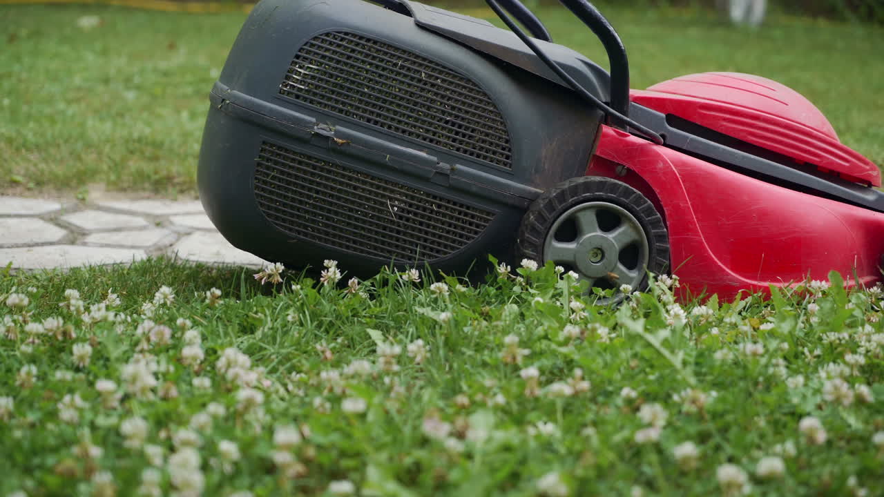 Close-up of mowing the lawn. Female Mowing Lawn in Suburbs.