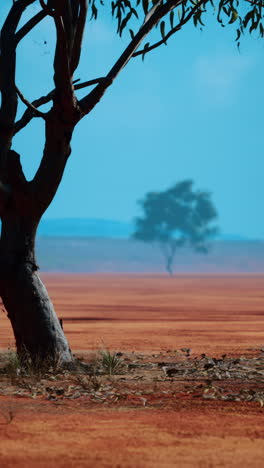 paisaje desértico rojo con árbol solitario