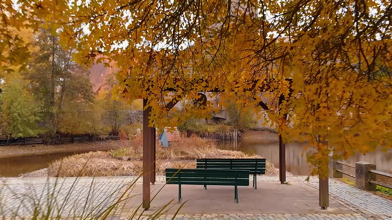 드론이 낮게 날고 앞 연못 옆의 나무 전망대를 천천히 통과하는 공중 촬영은 독일의 역사적인 도시입니다