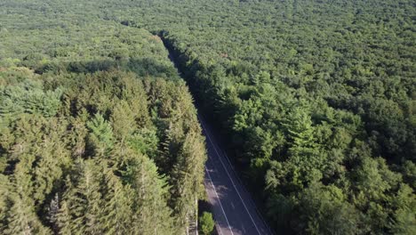 vista de pájaro a una carretera rural de pensilvania en un bosque