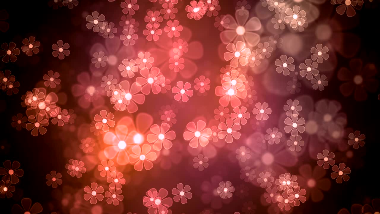 flores ligeras de verano