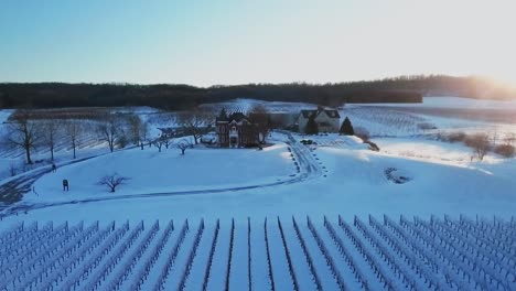 Aerial-shot-of-the-vineyard