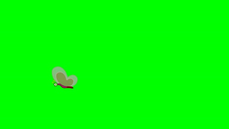 animación de mariposa voladora. mariposa de ala aleteante volando en línea. personaje de dibujos animados de ala transparente. insectos voladores, zig zag. ruta curva. al aire libre, claro, fondo de pantalla verde. video clip en 4k