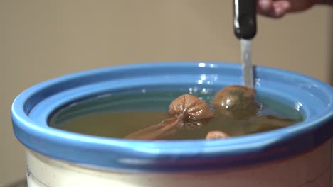 revolviendo el aceite de coco para ayudar con la extracción de cbd de los cogollos de cannabis