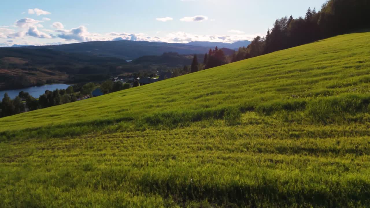 Vista aerea di un prato verde lussureggiante sotto un cielo limpido e soleggiato, con dolci colline e alberi in lontananza, che mostra la tranquillità e la bellezza della natura in campagna