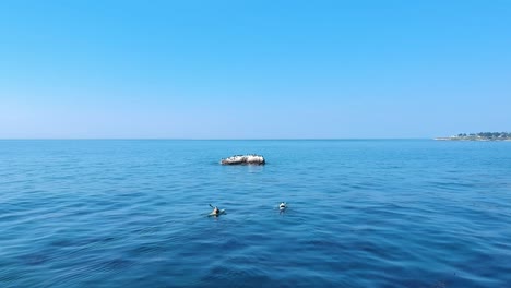 Aerial-view-of-kayakers-in-a-beautiful-blue-ocean