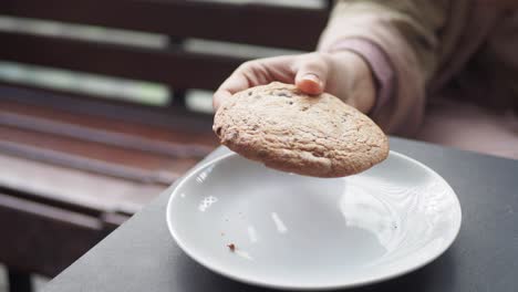 woman holding a chocolate chip cookie