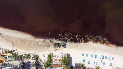 Vista-Aérea-De-La-Playa-Con-Sargazo-Del-Caribe-Mexicano