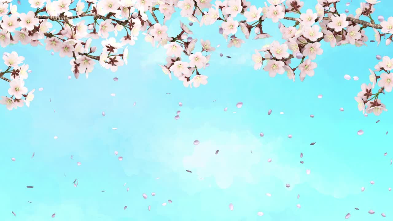 꽃이 피는 체리 나무 가지가 바람에 흔들리는 애니메이션, 파도