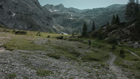 Hiker-walking-with-hiking-poles-in-the-valley-surrounden-by-mountains,-conifers-growing,-clear-blue-sky