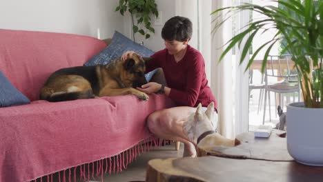 mujer caucásica jugando con sus dos perros en la sala de estar en casa