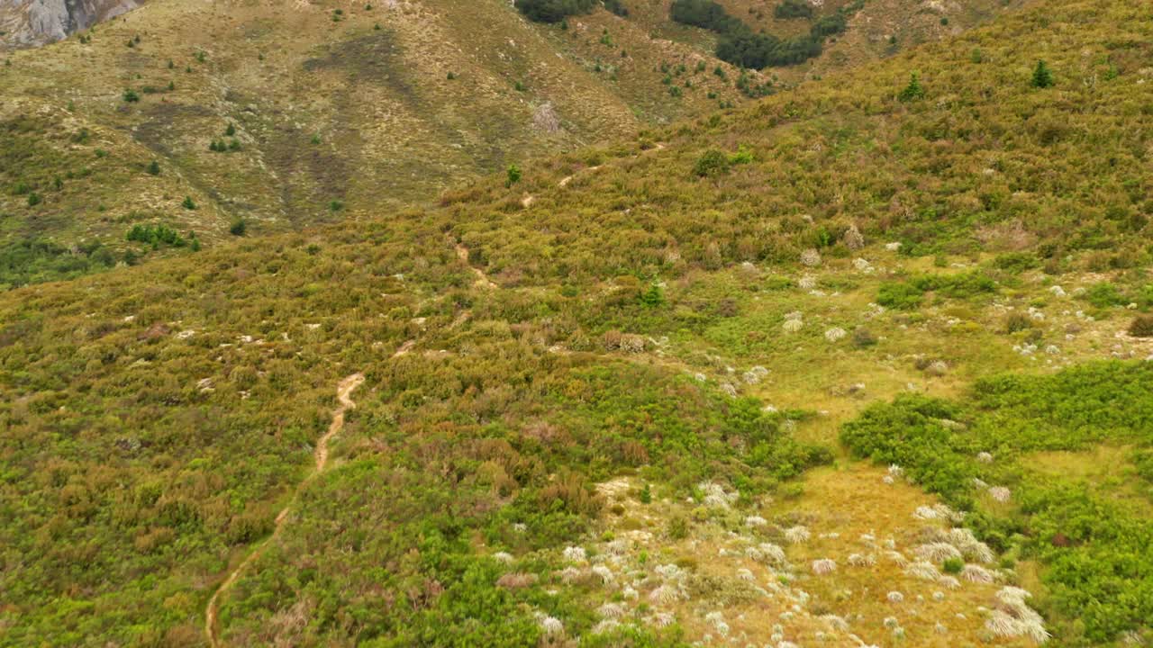 Ripresa aerea in tilt-up che rivela una splendida catena montuosa verde in Nuova Zelanda