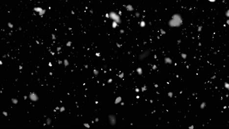 la nieve que cae