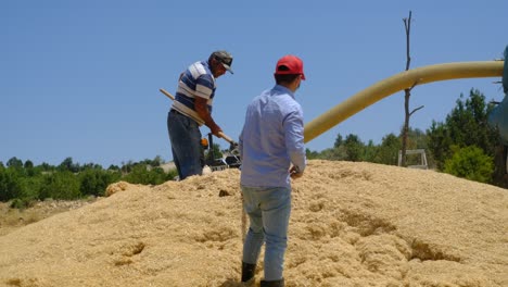 pulverizador de heno trabajador adulto