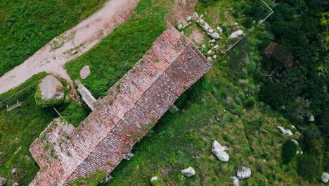 drone abandoned green area with old building. dirt paths run along stony ground.