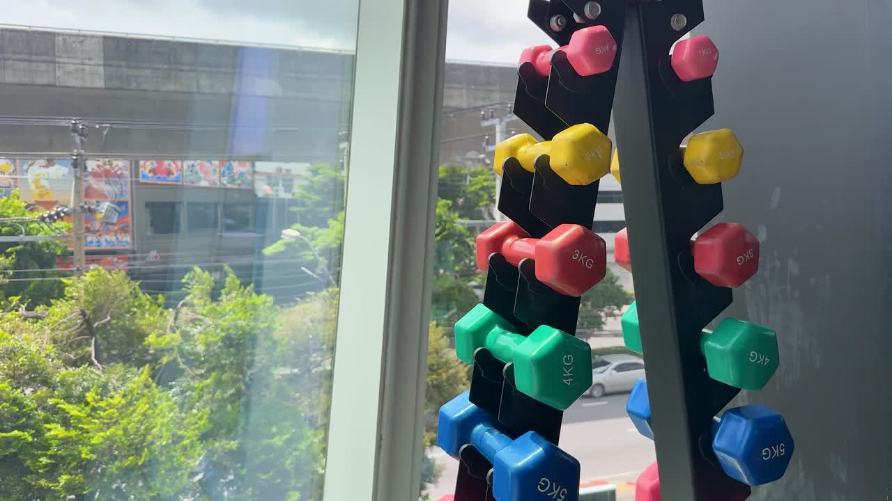 Brightly colored hex dumbbells rest on a vertical rack beside a large gym window, with sunlight streaming in and an urban street visible outside