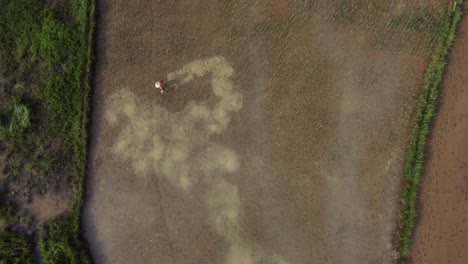 drone ascending and revealing a farmer tending to his own rice plantation