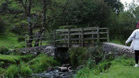 slow motion zoom in towards female with red dreadlocks walking puppy on rural wooden bridge crossing countryside stream