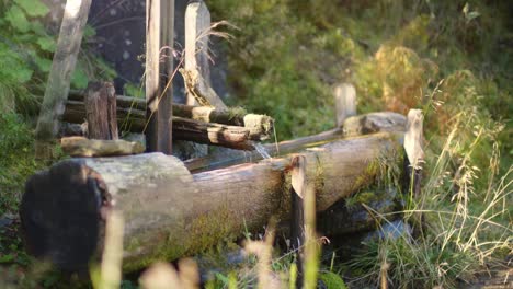 idyllic old traditional alpine wooden fountain on a hiking trail in austria, tyrol