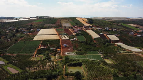 Panoramic-View-Of-A-Cultivated-Lands-With-Growing-Organic-Crops-In-Vietnam