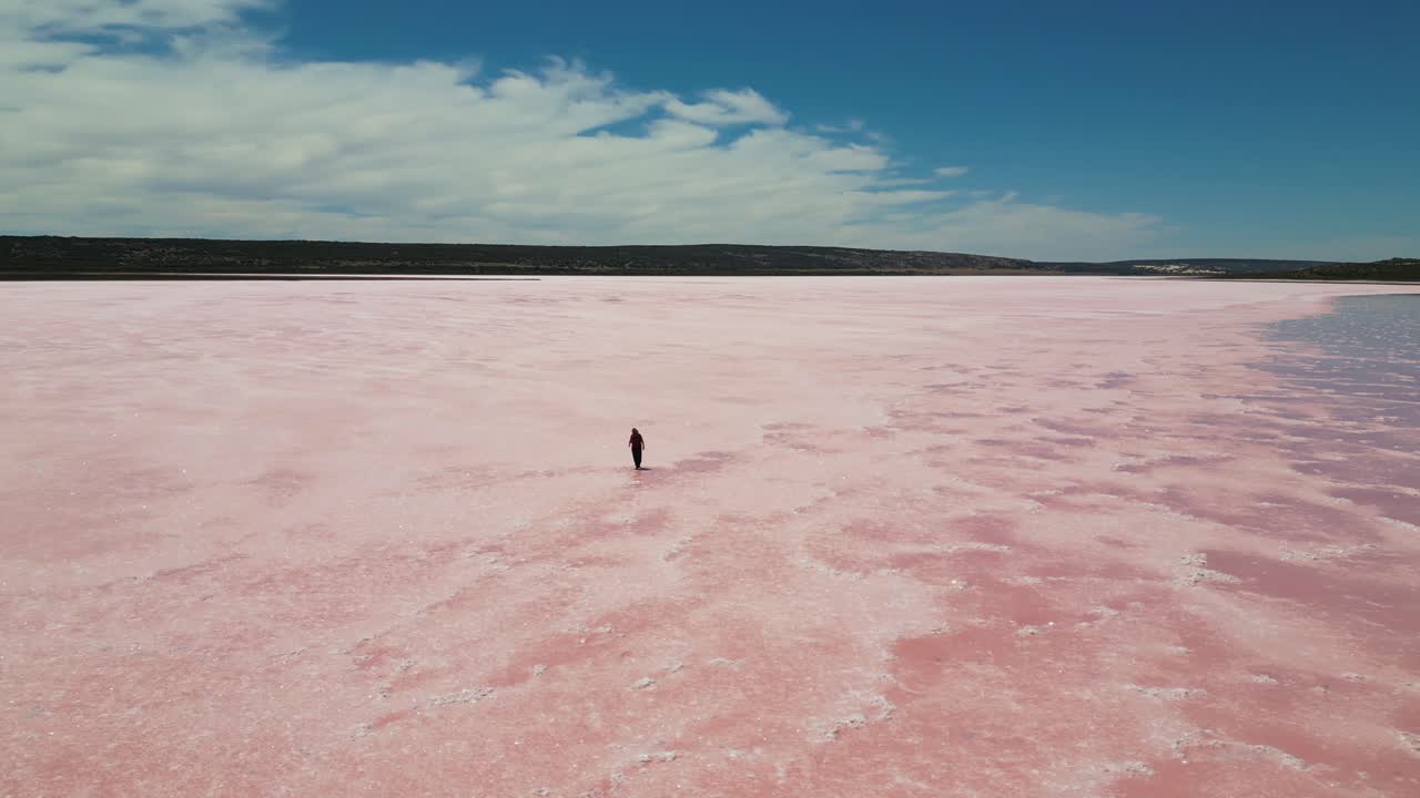 drone de órbita amplia vista de la línea hembra caminando casualmente sobre la laguna hutt lago rosa en el oeste de australia