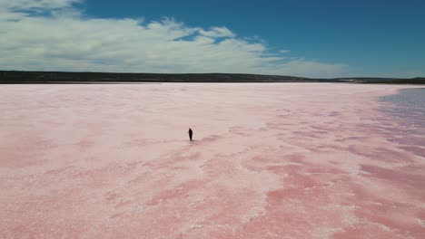 Weite-Umlaufbahn-Drohnenansicht-Einer-Linienweibchen,-Die-Lässig-über-Den-Hutt-Lagoon-Pink-Lake-In-Westaustralien-Geht