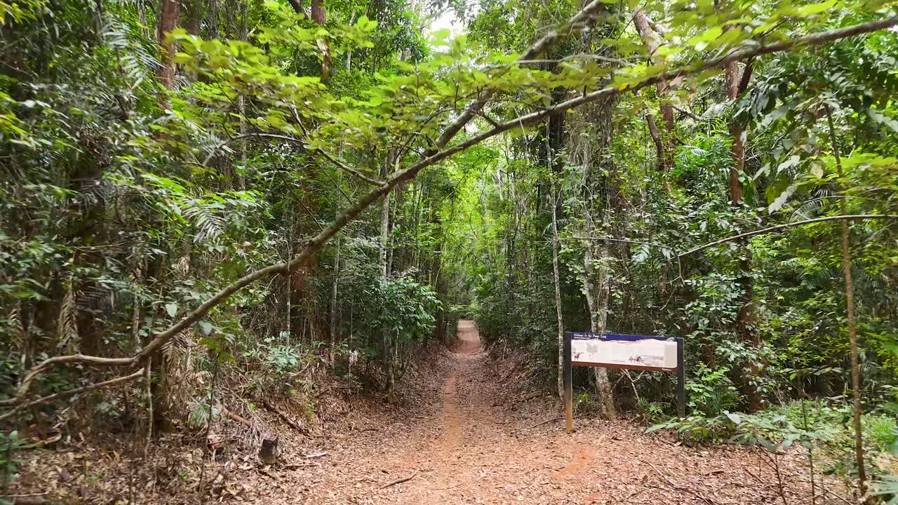 Camera moves along forest path past gate and signs, lush green rainforest, natural daylight