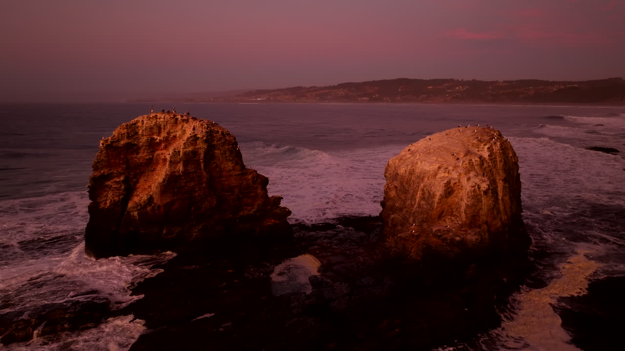 Pelicans On Rocks On The Ocean In Chile, South America At Sunset - Drone Shot
