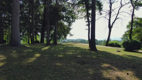 Low-flying-drone-footage-through-tall-trees-on-a-sunny-day-revealing-garden-view-and-feature-wall,-Italy