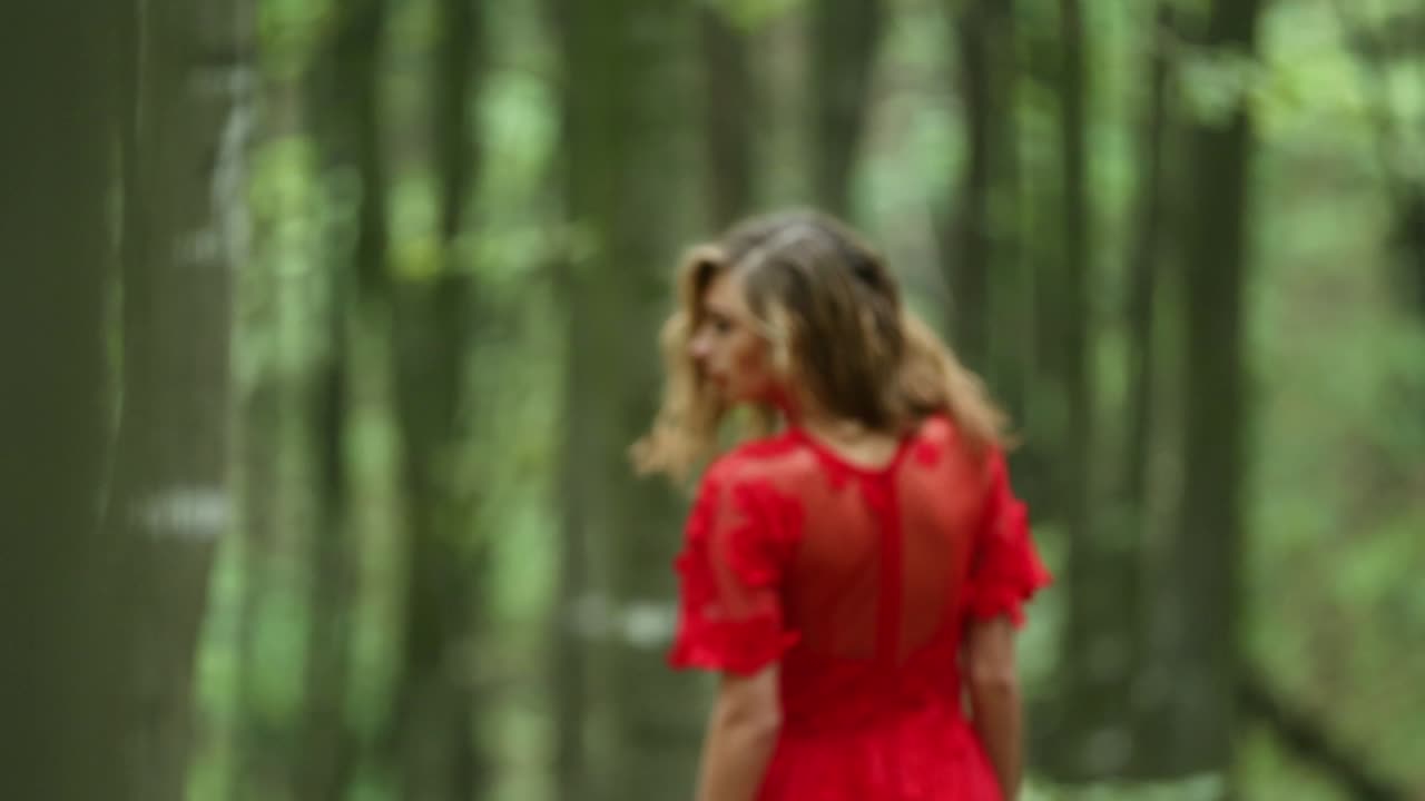 Pretty Woman Explores Beautiful Forest. Pretty woman in a long red dress explores beautiful forest