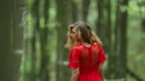 pretty woman explores beautiful forest. pretty woman in a long red dress explores beautiful forest