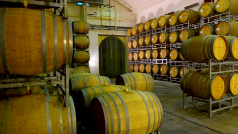 bodega de barril en la granja vinícola boschendal