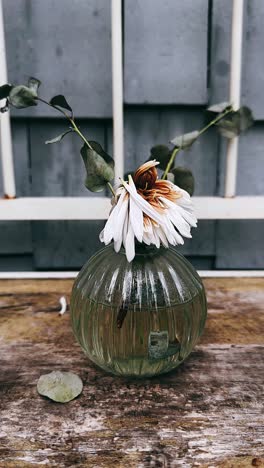 faded beauty in a glass vase