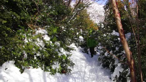 Hombre-Vestido-Con-Un-Anorak-Verde-Caminando-Por-Un-Sendero-De-Montaña-Entre-Arbustos