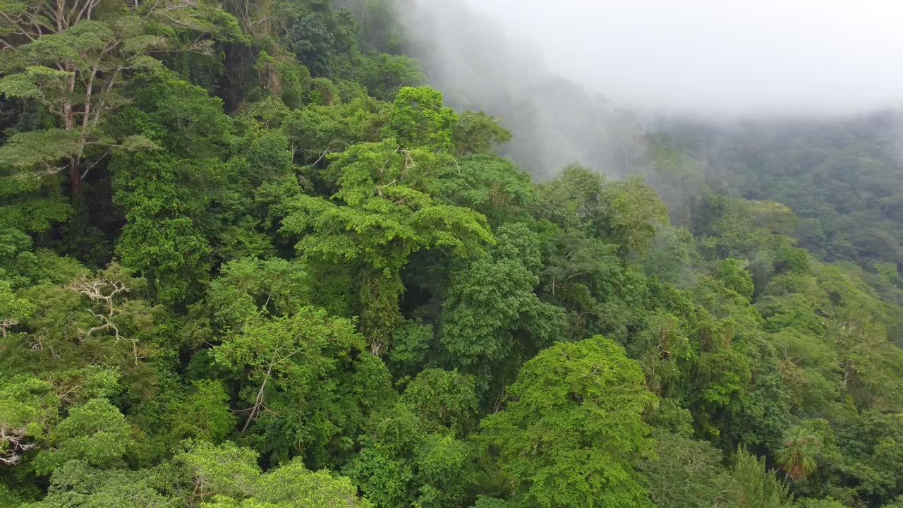 Vue panoramique circulaire de trois sommets sur un flanc de montagne couvert de feuillage vert dans la forêt tropicale de Colombie.