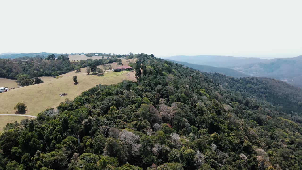 Ripresa aerea con drone che mostra il contrasto tra terreno disboscato su una montagna e una lussureggiante foresta nei parchi nazionali australiani.