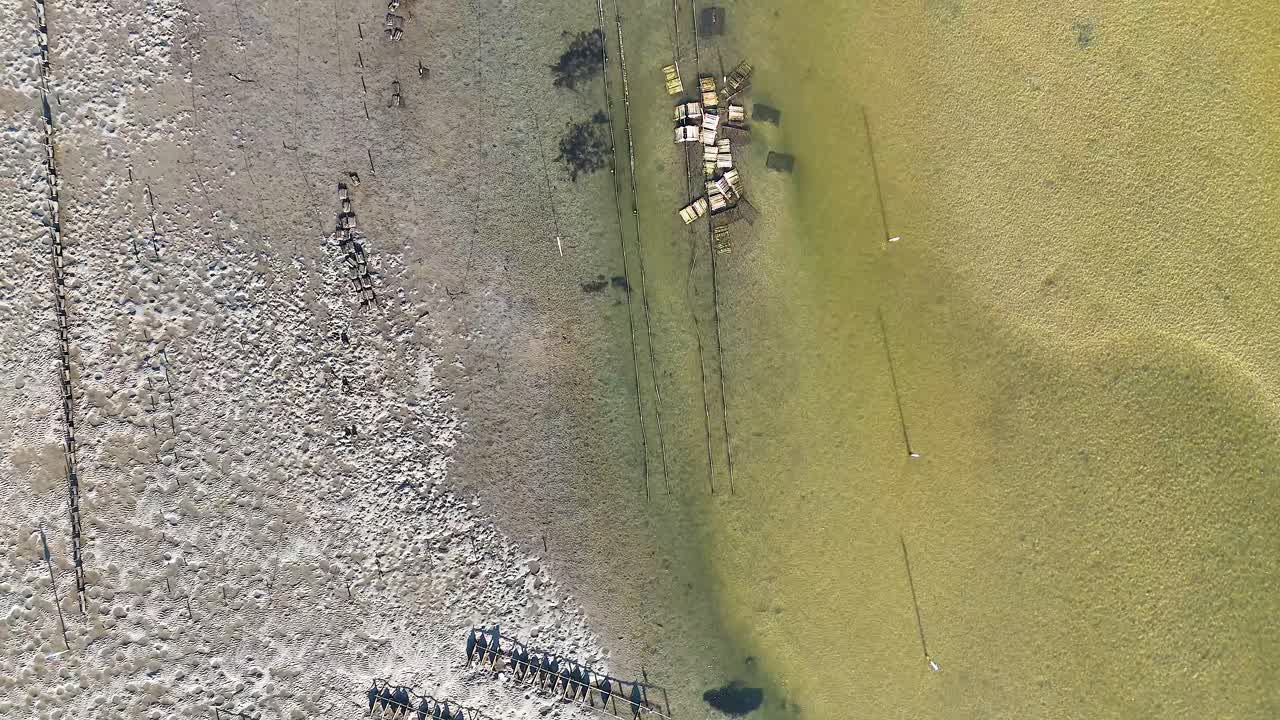 Oyster beds in Brunswick Heads, New South Wales