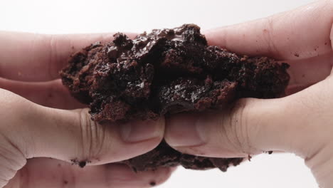 macro shot, juicy fudge chocolate brownie cookie squeezed by male hands