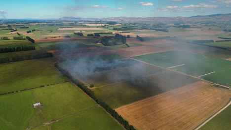 preparing land for plantation by controlled fire on farmland by gore new zealand