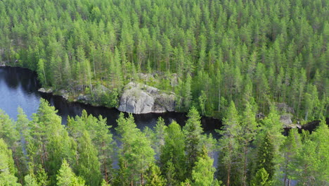 Video-De-Drones-Del-Río-En-Medio-Del-Bosque