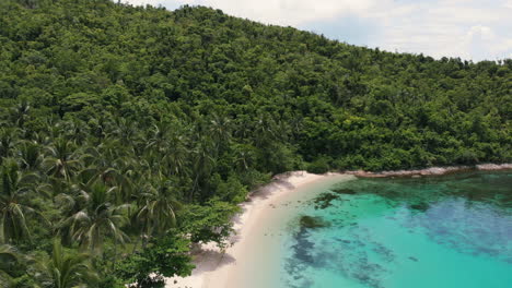 la isla tropical es un paraíso de playas.